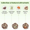 Potaroma Catnip Toys, 3Pcs Cat Toys Natural Silvervine Stick Cage Balls - 2 of 3