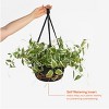 Bloem 12" Dura Cotta Round Resin Self-Watering Hanging Basket Planter with Macrame Cord - 4 of 4