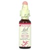 Bach Original Flower Remedies, Willow, 0.35 fl oz (10 ml) - 3 of 4