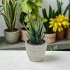 Unique Bargains Artificial Plants Mini Aloe-Vera in Pulp 2.76"x2.76"x5.51" 1 Pc - 2 of 4