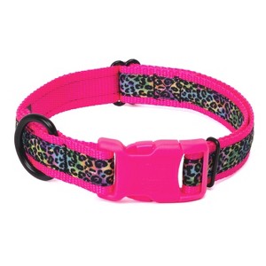 Country Brook Petz Deluxe Ribbon Dog Collar, Bright Spirits Collection - 1 of 4