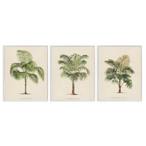 Stupell Industries Les Palmiers Botanical Trio, 16" x 20" - 1 of 4