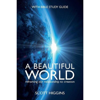 A Beautiful World - by  Scott J Higgins (Paperback)