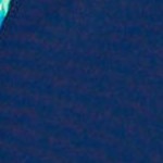 navy/barbados blue