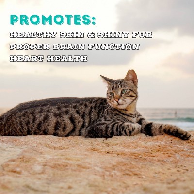 Boat To Bowl Wild Cod Fish and Haddock Fish Seafood Flavor Recipe Adult Dry Cat Food - 3.5lbs, 6 of 13