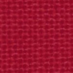 tampa bay buccaneers