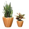 Okak Vertical ABS Planter Pots with Holes Orchid & Succulent Planters for Indoor/Outdoor, 2 Pack(S+M),4 Colors - 2 of 4