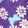 plum burst daisy butterfly