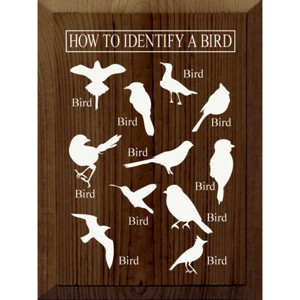 Slickblue Bird Guide Wooden Sign, Knotty Pine 9x12 Inch Wall Decor, Rustic Style, Color Options - 1 of 3