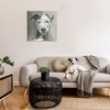 Stupell Industries Muted Dog with Quiet Expression, 30" x 30" - 2 of 4