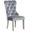 Passion Furniture Geneva Silver Champagne Velvet Upholstered Arm Chair (Set of 2) - 3 of 4