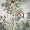 72"L Sullivans Artificial Snowy Pine Berry Christmas Garland, Green, Indoor Christmas Decor - 2 of 4