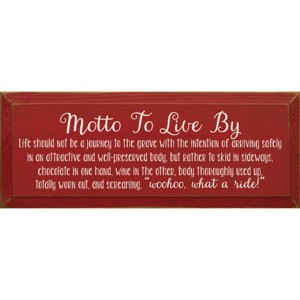 Slickblue Woohoo What a Ride Wall Sign – Wine & Chocolate Life Quote – Rustic Wood Decor for Home – 7x18, Color Options - 1 of 3