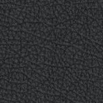 washington state cougars