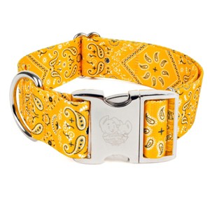 Country Brook Petz 1 1/2 Inch Premium Dog Collar - Country and Western Collection - 1 of 4