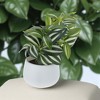 Unique Bargains Artificial Plants Fake Plants Green 1 Pc - 2 of 4