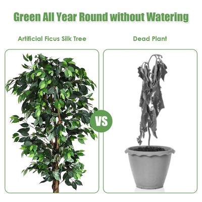 6-Foot Green Artificial Ficus Silk Tree with Wood Trunks