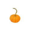 Sparkler Ornamental Pumpkin - each - 2 of 3