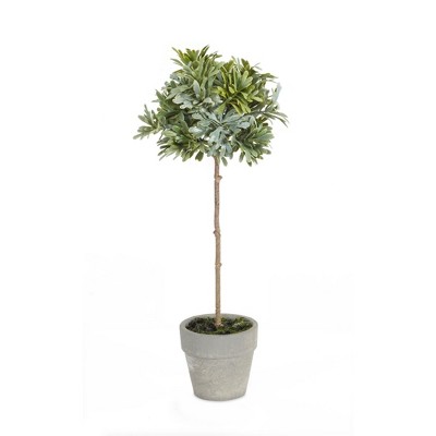 Potted Herb (Set of 2)