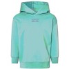 The Juniper Shop Embroidered Hippity Hoppity Stacked Toddler Hoodie - 3 of 4