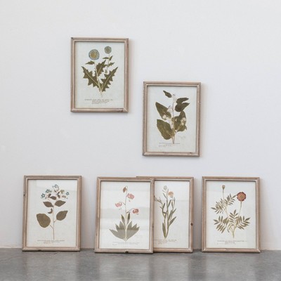 Vintage Botanical Print Set in Wood Frames, 10" x 13"