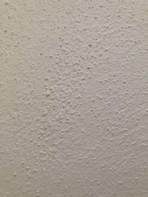 Guest review image 2 of 6, zoom in