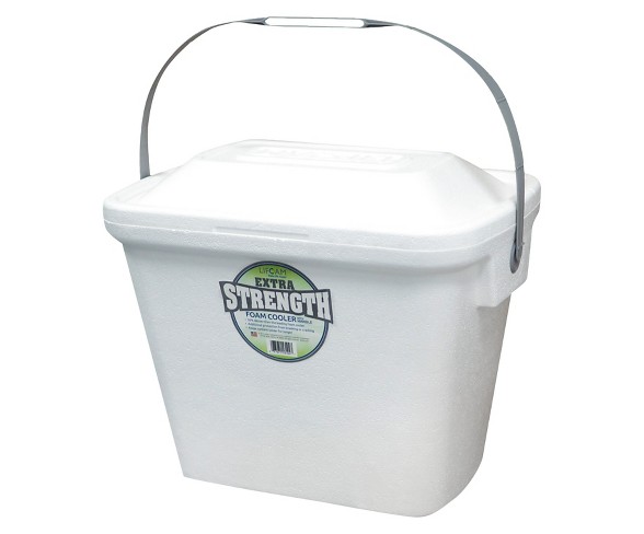 Lifoam Promotional Cooler with Handle - White
