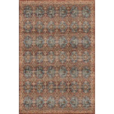 Boho Vintage Area Rug Colorful Floral Farmhouse Carpet Traditional Rug for Living Room, Bedroom