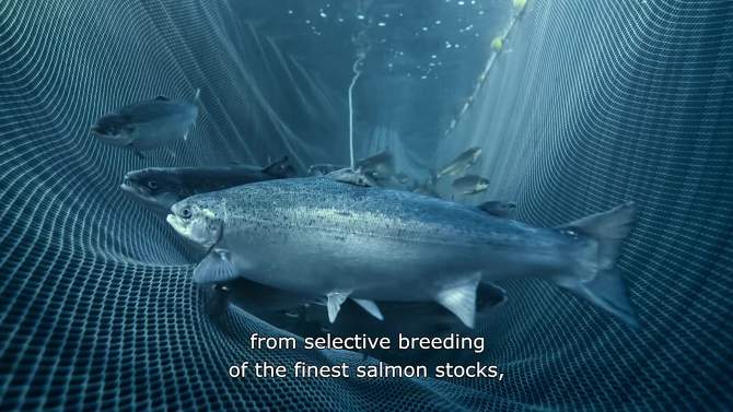 Marine Harvest by MOWI Wild Sockeye Salmon Portion - 8oz, 2 of 5, play video