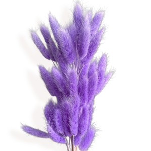 Alilang Dried Bunny Tail Grass Stems for Modern Home Decoration and Floral Arrangements, 23.5 Inches - 1 of 3