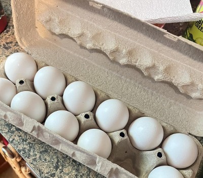 Guest review image 1 of 1, zoom in