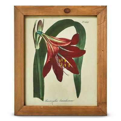 tagltd Amaryllis Vintage Wall Art