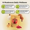 Plant People WonderDay Mushroom Multivitamin Gummies - 30ct - 4 of 4