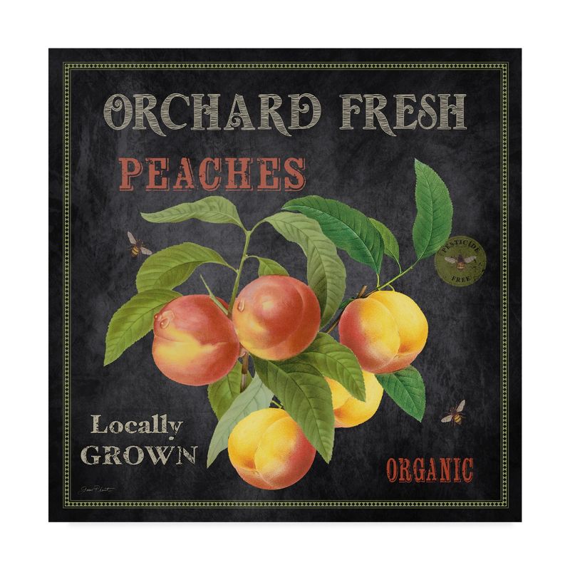 Trademark Fine Art -Jean Plout 'Orchard Fresh Peaches' Canvas Art, 2 of 4
