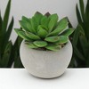 Unique Bargains Artificial Plants Plastic Green 2.95"x2.95"x2.76" 1Pc - 2 of 4