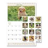 Puppies Monthly Wall Calendar, Puppies Photography, 15.5 x 22.75, White/Multicolor Sheets, 12-Month (Jan to Dec): 2026 - 2 of 4