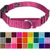 Country Brook Petz Heavy Duty Nylon Martingale Dog Collar with Deluxe Buckle - 30+ Vibrant Color Options - 2 of 4