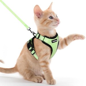 rabbitgoo Cat Harness and Leash for Walking, , Easy Control Breathable Reflective Strips Jacket, Light Green, XXS - 1 of 1