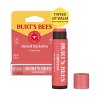 Burt's Bees Tinted Lip Balm - Hibiscus - 0.15oz - 3 of 4