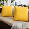 2pk Sorra Home Sunbrella Knife Edge Indoor Outdoor Throw Pillow Sets - 2 of 4