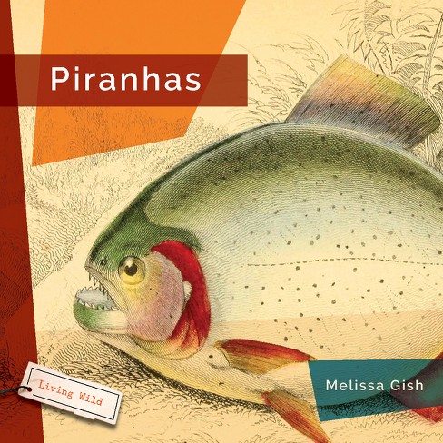 Piranhas - by  Melissa Gish (Paperback) - image 1 of 1