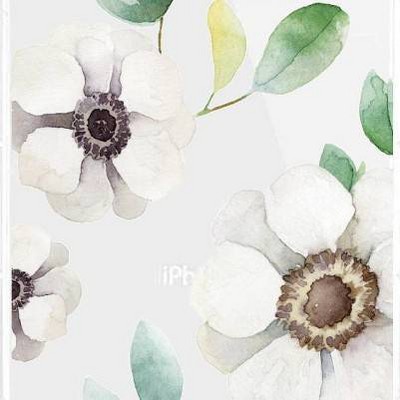 Anemone Flowers White