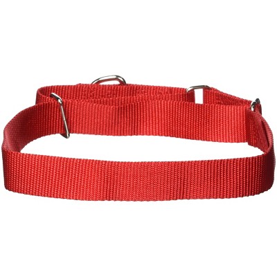 Guardian Gear Nylon Martingale Dog Collar, Fits Necks 18