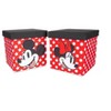 Juego 2 Contenedores de Vidrio con Tapa 950 ml Minnie and Mickey