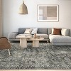 Hallway Runner Rug Long Rug Runner Washable Non-Slip Carpet for Kitchen Entryway Laundry Bedroom, Vintage Accent - 3 of 4