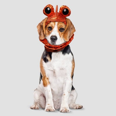 Goldfish Halloween Dog and Cat Costume - Hyde & EEK! Boutique™