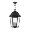Livex Lighting Hamilton 3 - Light Pendant in  Black - 3 of 4