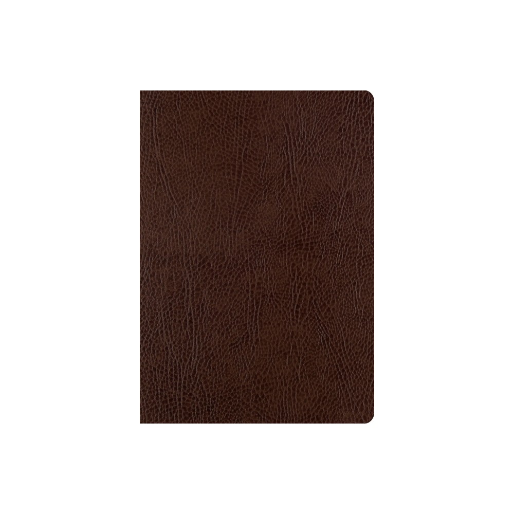 ESV Single Column Journaling Bible, Large Print (Mocha) - by Esv Bibles (Leather Bound)