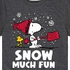 Boys' - Peanuts - Snoopy and Woodstock Snow Much Fun Short Sleeve Graphic T-Shirt - 2 of 4