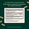 Genius Brand Genius Caffeine—Clean Energy for Focus, Endurance & Productivity—Sustained-Release, Jitter-Free, Vegan—100 Veggie Capsules - 2 of 4